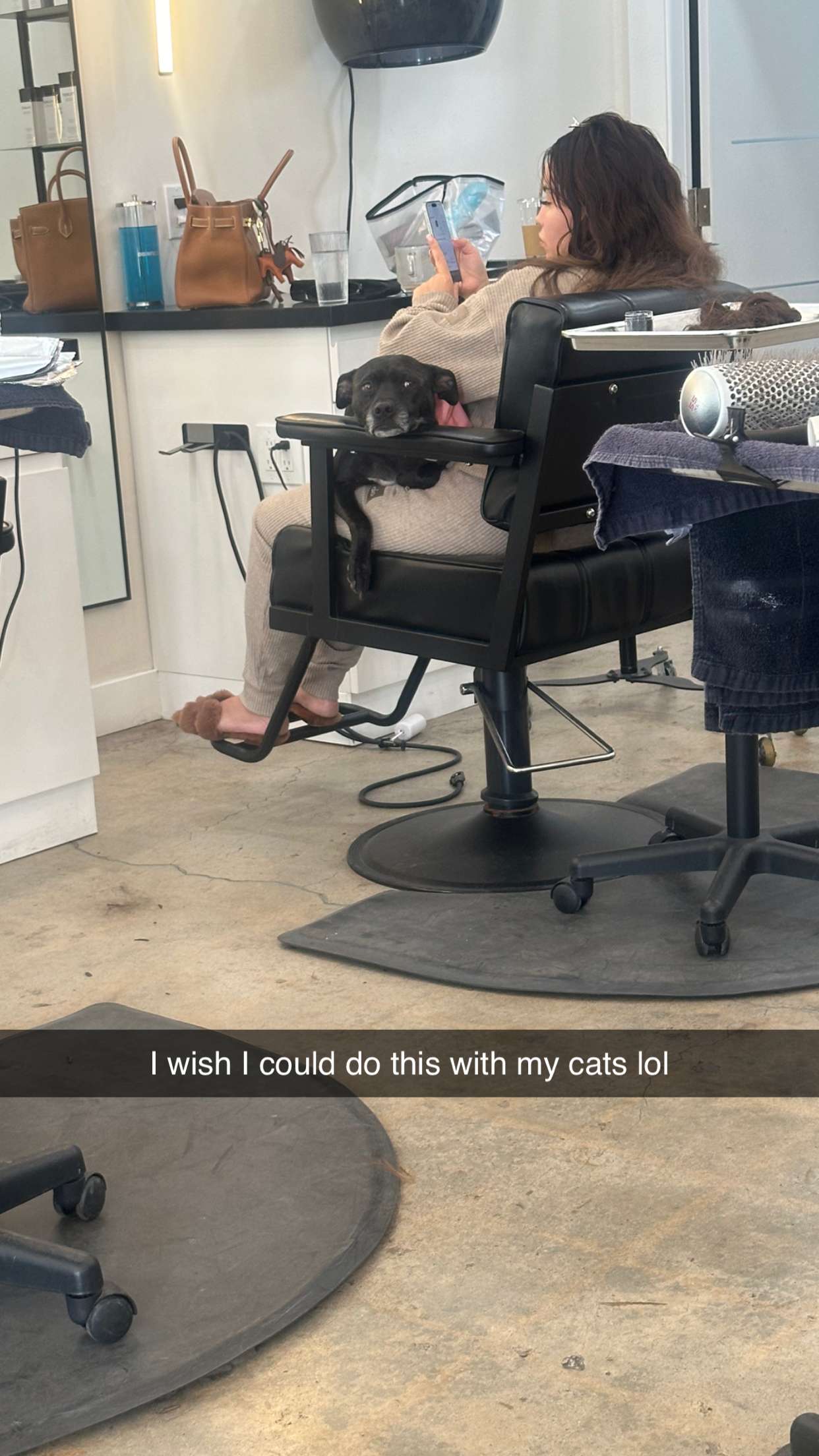 jadelynmusic snapchat image archive image