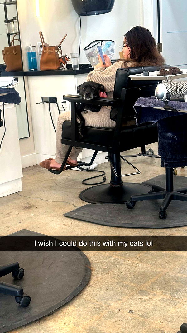 jadelynmusic image ~ Altpins