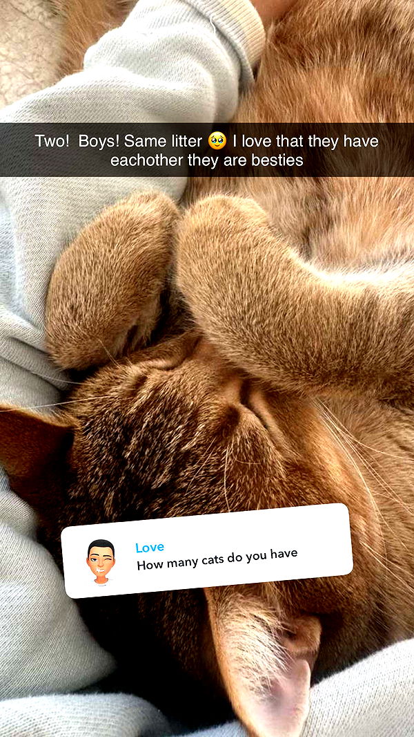 jadelynmusic image ~ Altpins