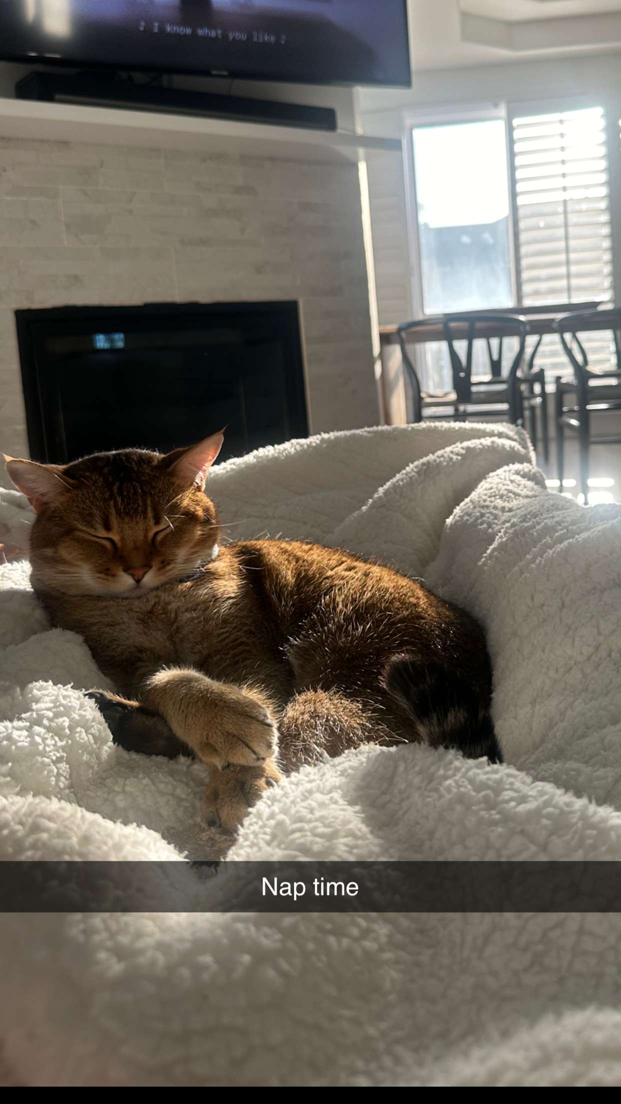 jadelynmusic snapchat image archive image