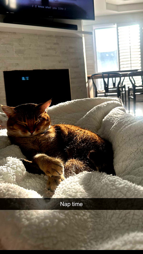 jadelynmusic image ~ Altpins