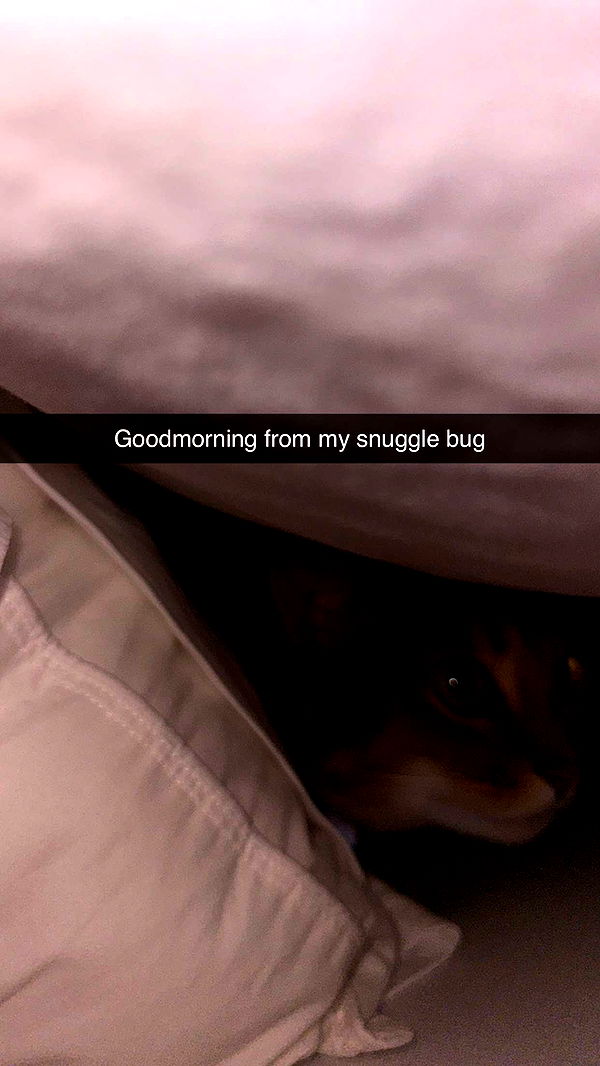 jadelynmusic image ~ Altpins