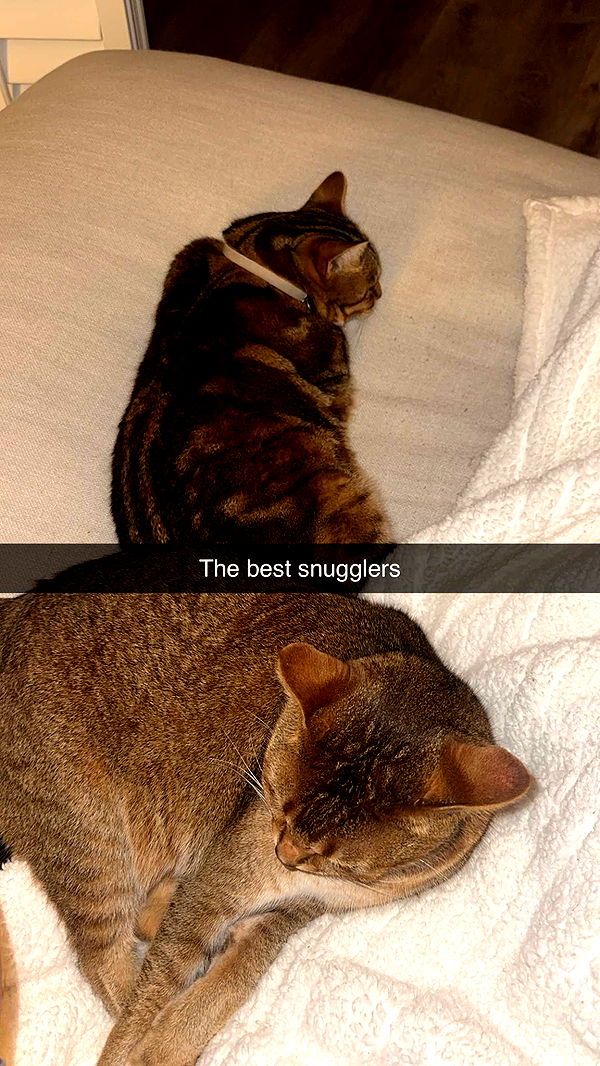 jadelynmusic image ~ Altpins