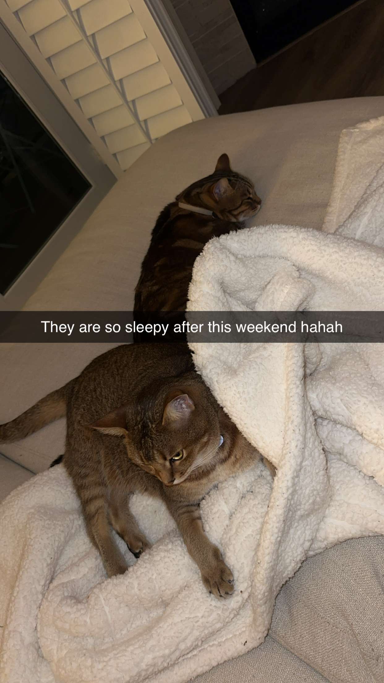 jadelynmusic snapchat image archive image