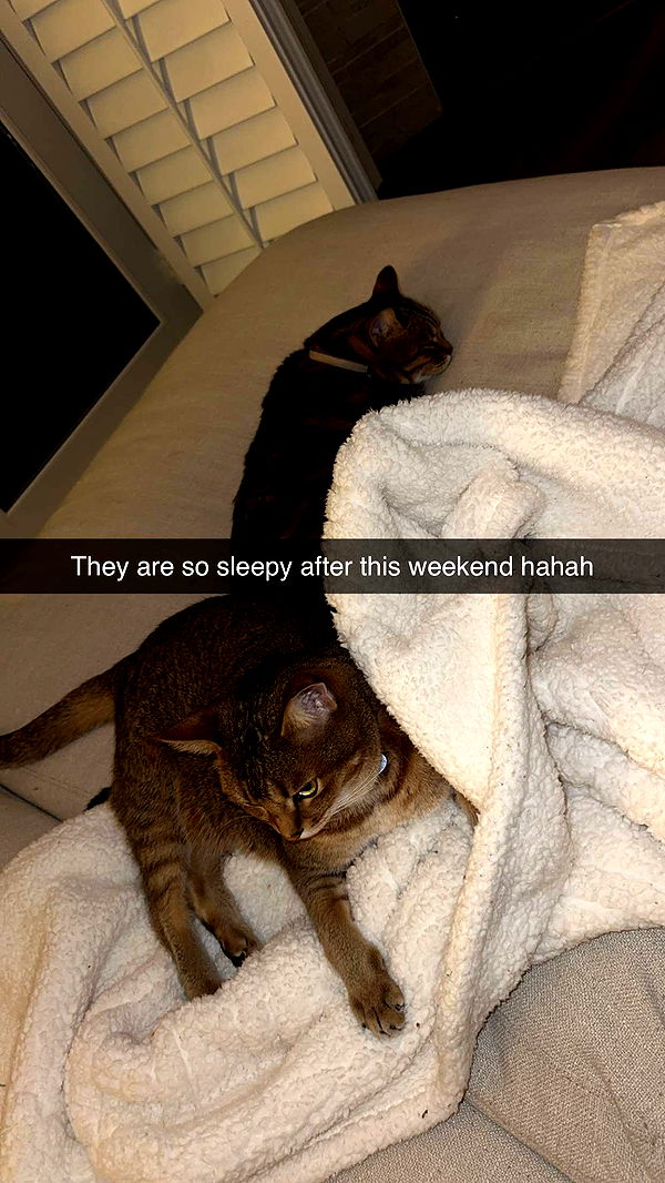 jadelynmusic image ~ Altpins