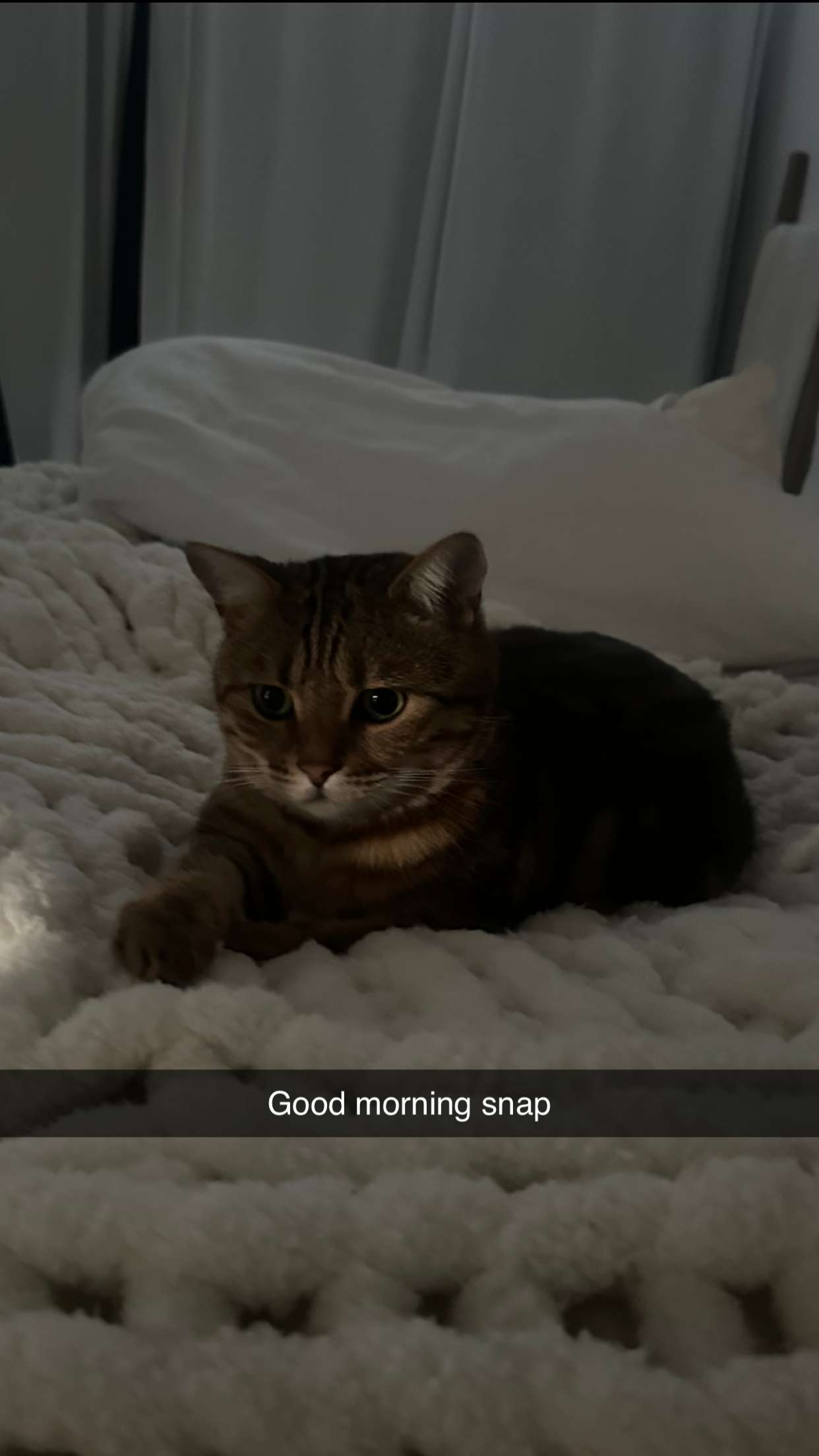 jadelynmusic snapchat image archive image