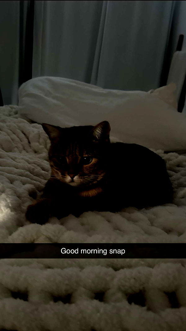 jadelynmusic image ~ Altpins