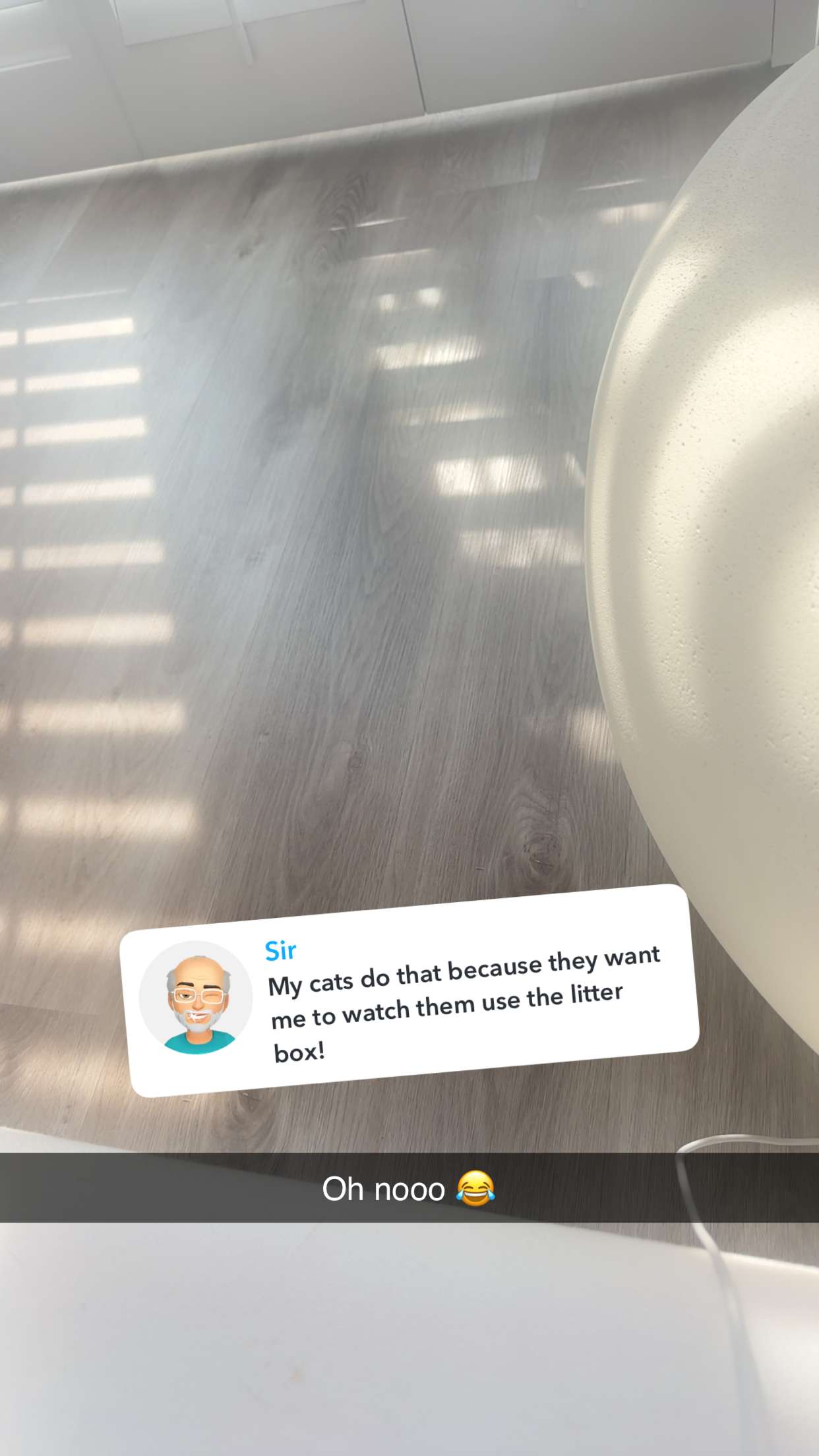 jadelynmusic snapchat image archive image