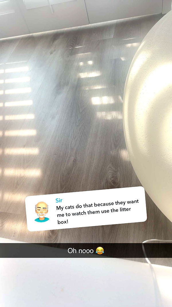 jadelynmusic image ~ Altpins