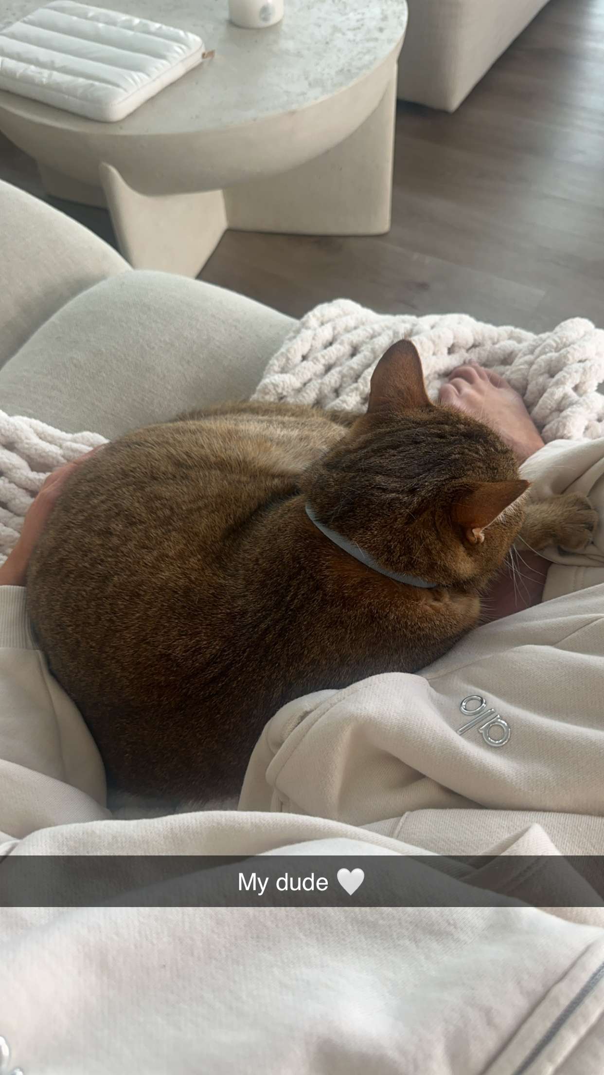 jadelynmusic snapchat image archive image