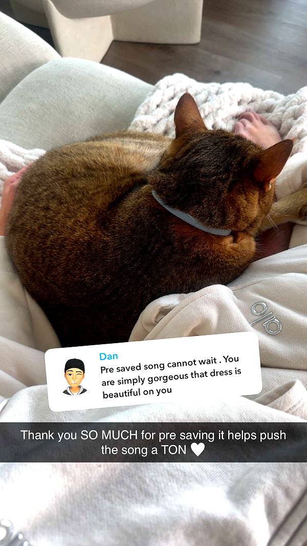 jadelynmusic image ~ Altpins