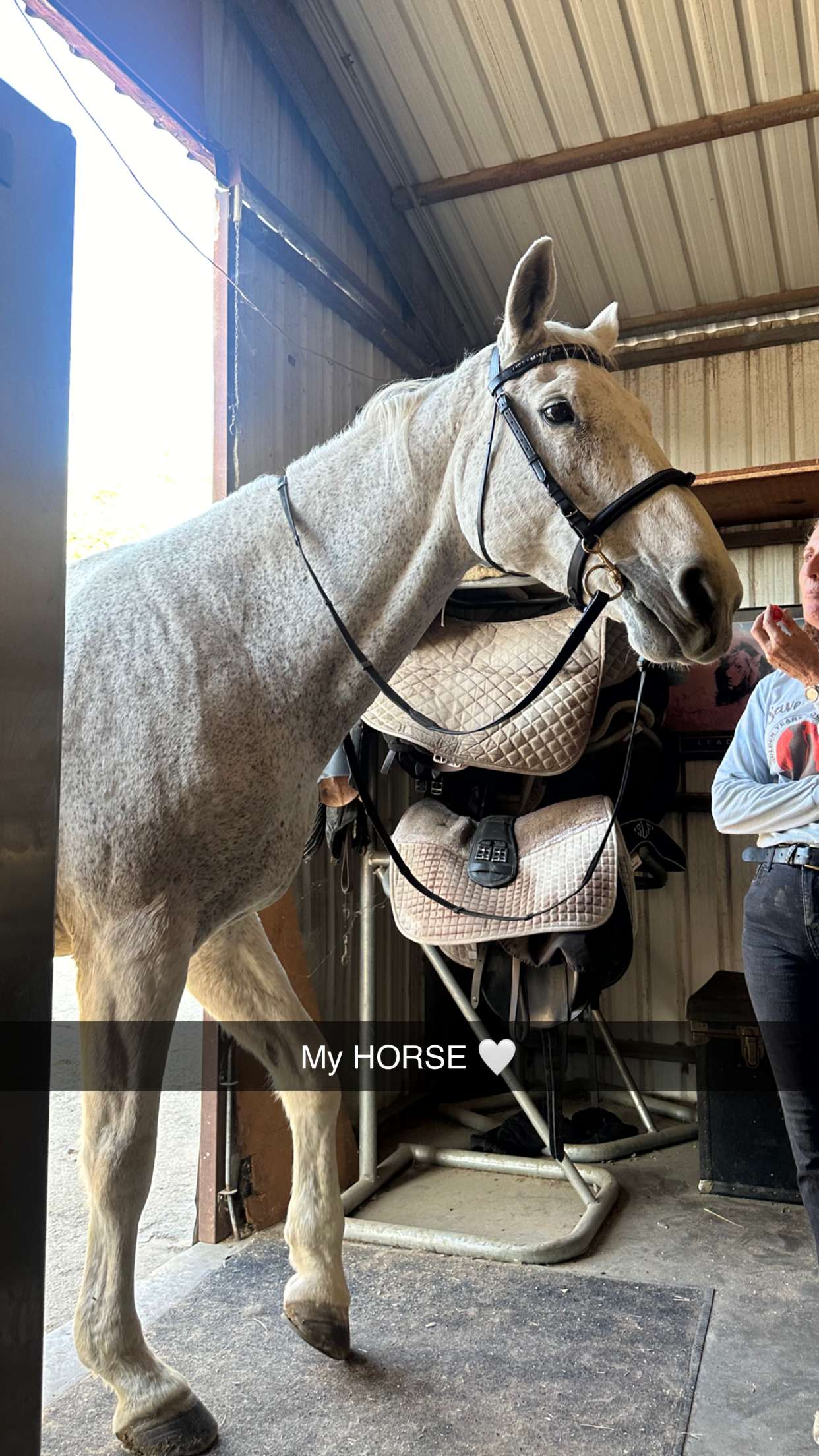 jadelynmusic snapchat image archive image