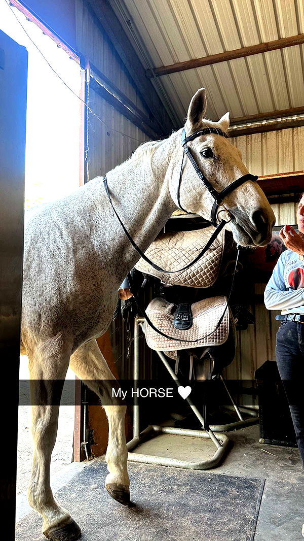 jadelynmusic image ~ Altpins