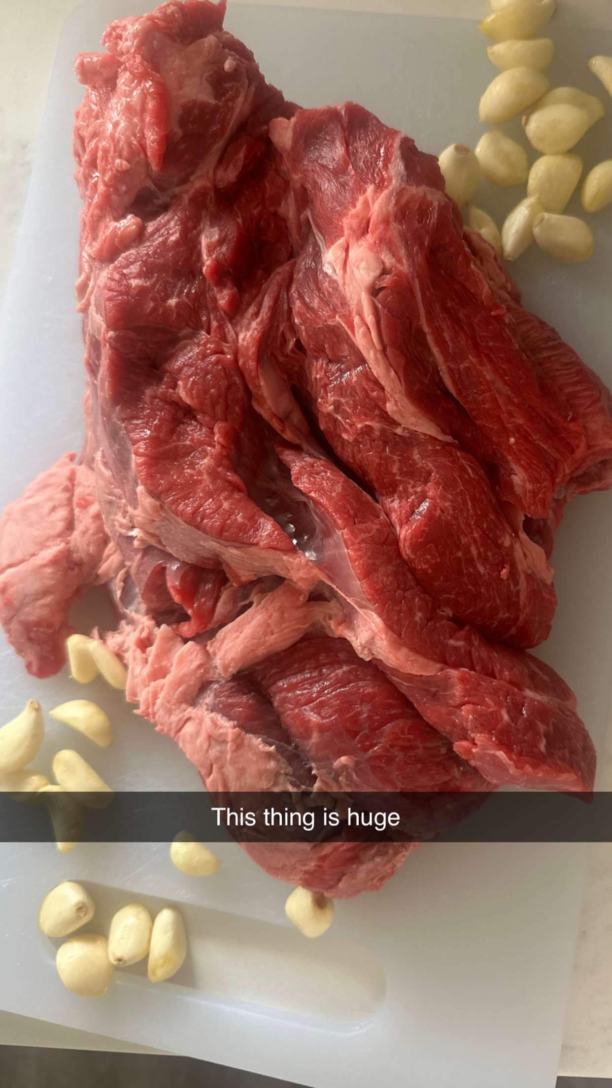 jadelynmusic snapchat image archive image