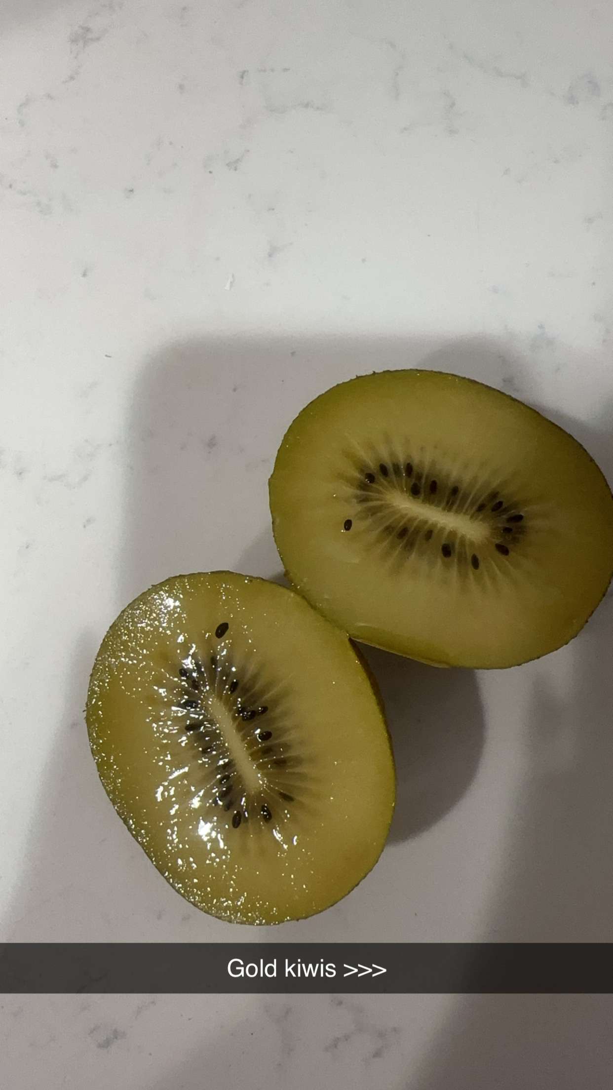 jadelynmusic snapchat image archive image