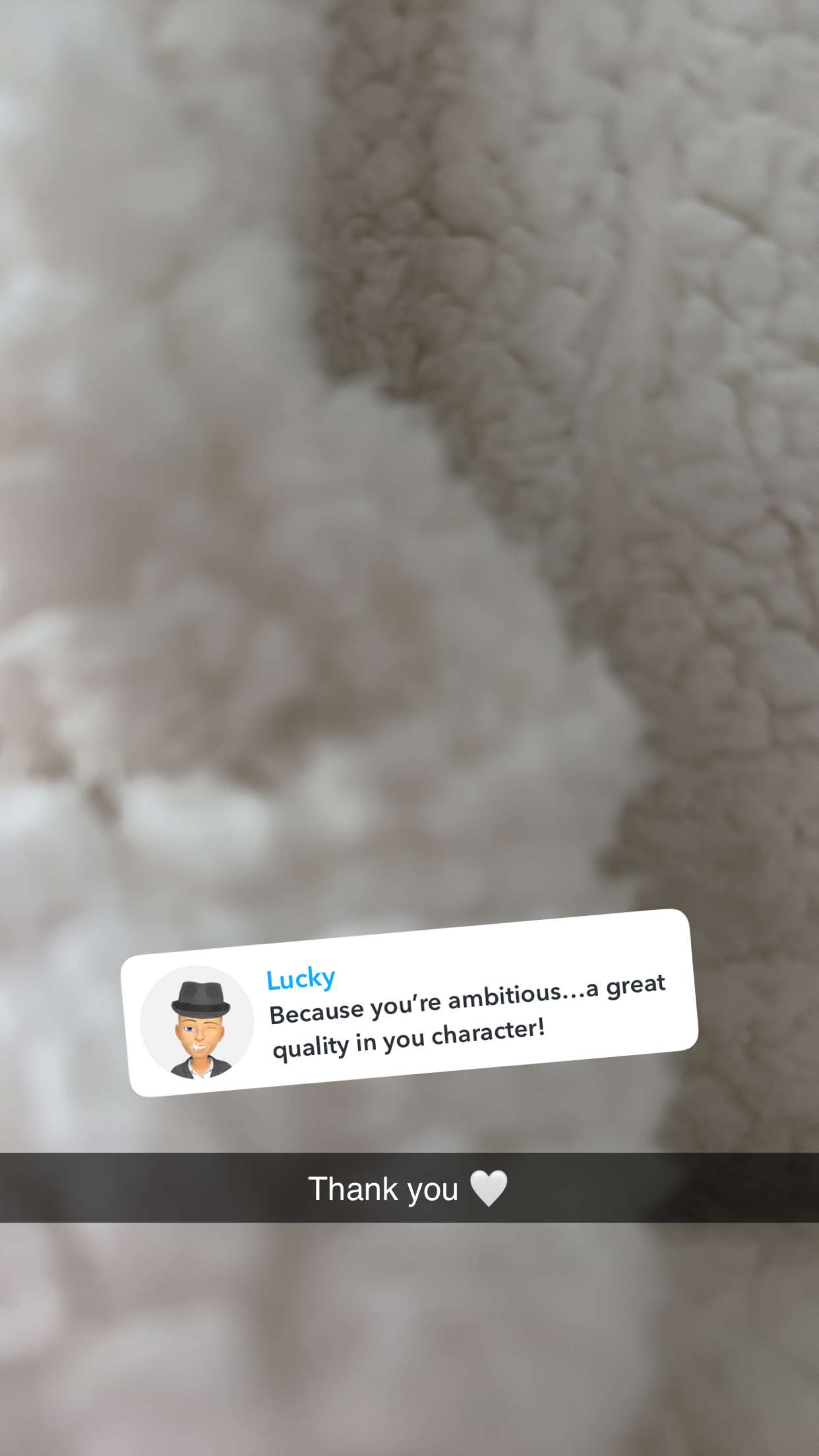 jadelynmusic snapchat image archive image