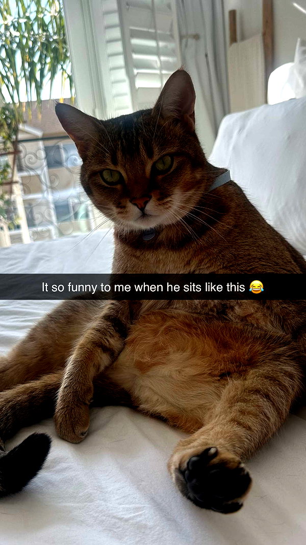 jadelynmusic snapchat image archive image
