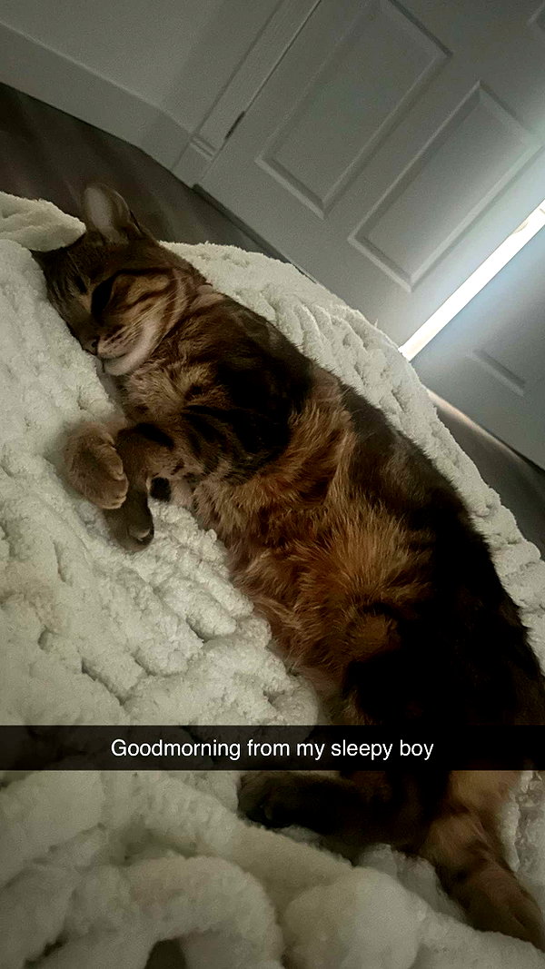 jadelynmusic snapchat image archive image