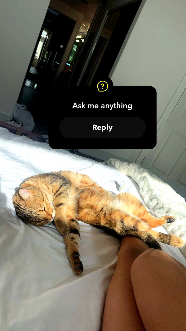 jadelynmusic snapchat image archive image