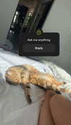 jadelynmusic Altpins Profile Picture