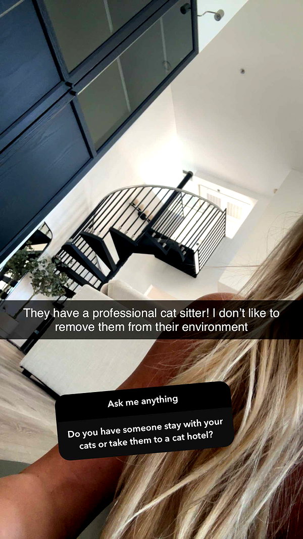 jadelynmusic snapchat image archive image