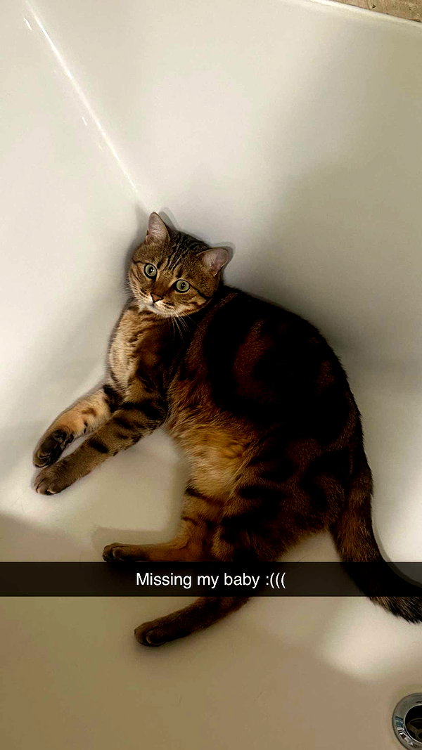 jadelynmusic snapchat image archive image