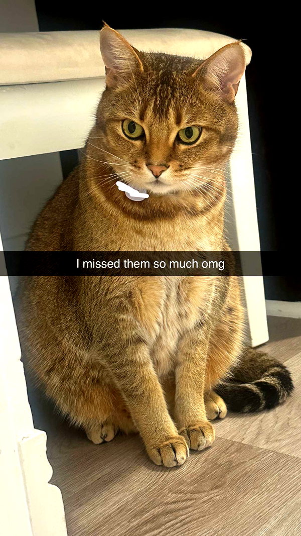 jadelynmusic snapchat image archive image