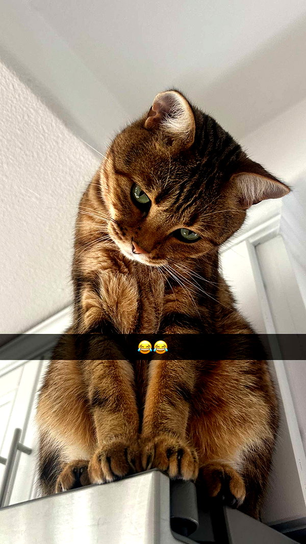 jadelynmusic snapchat image archive image