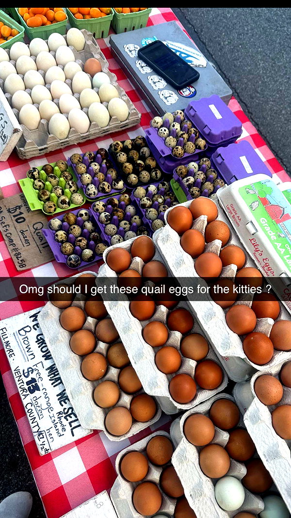 jadelynmusic snapchat image archive image