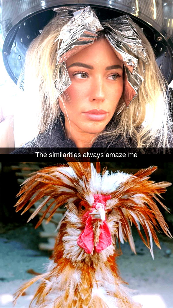 jadelynmusic snapchat image archive image