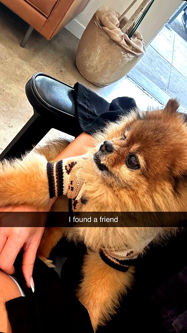 jadelynmusic snapchat image archive image