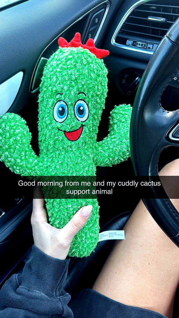 jadelynmusic snapchat image archive image