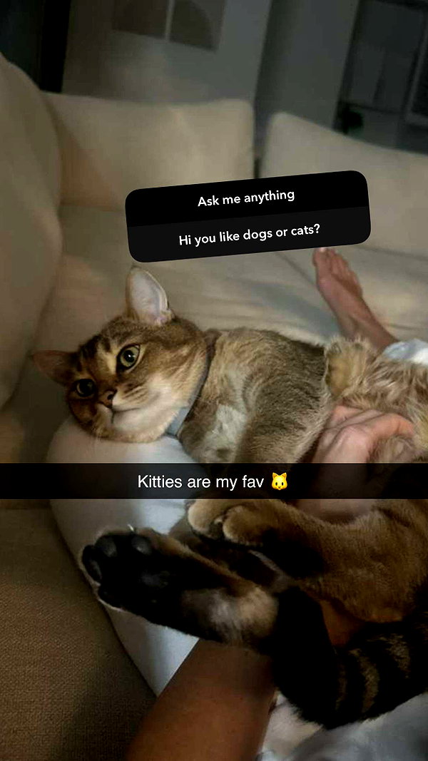 jadelynmusic snapchat image archive image