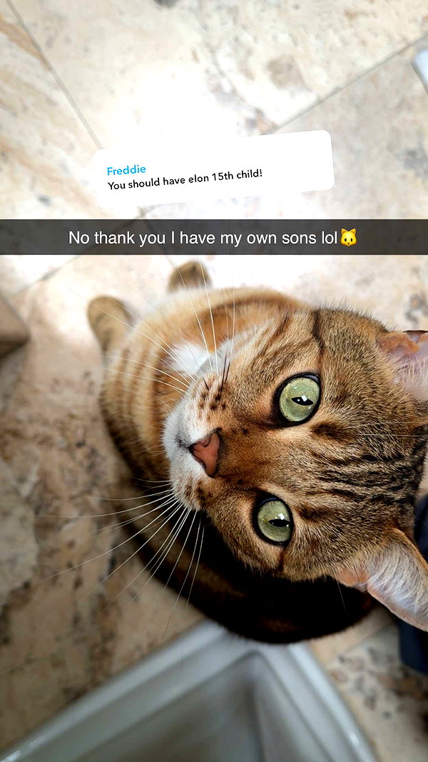jadelynmusic snapchat image archive image
