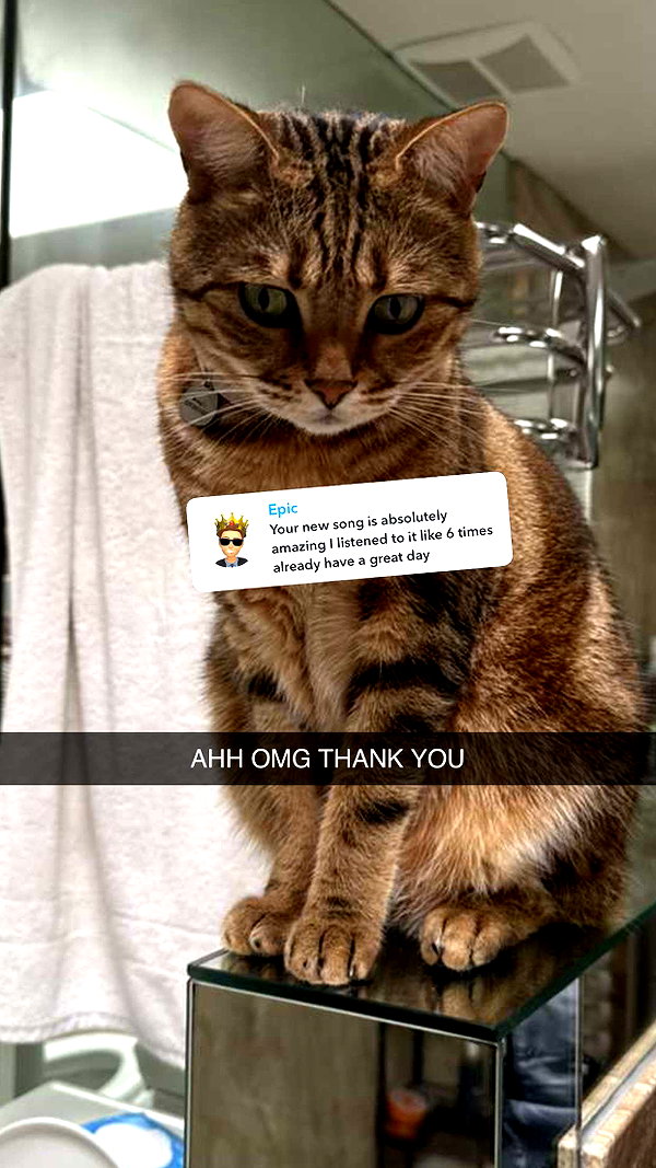 jadelynmusic snapchat image archive image