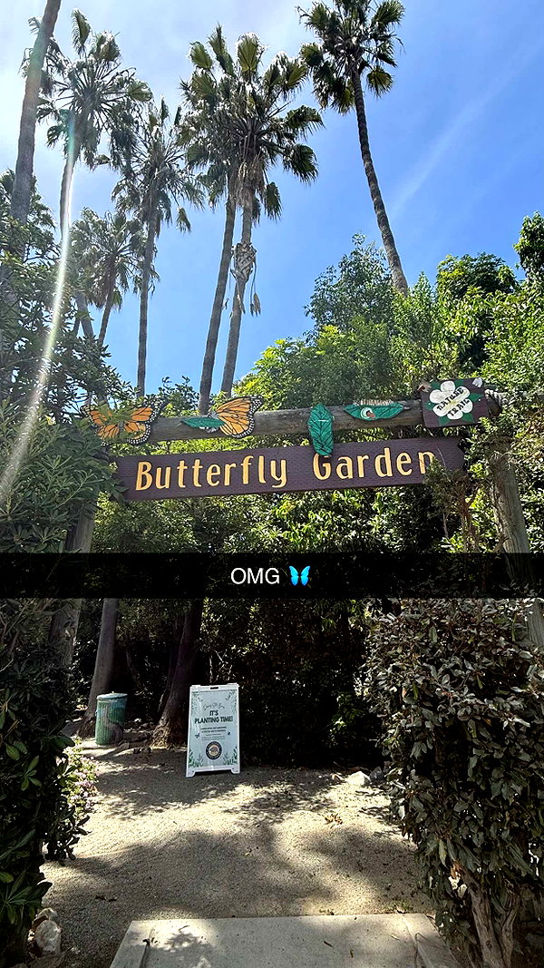 jadelynmusic snapchat image archive image