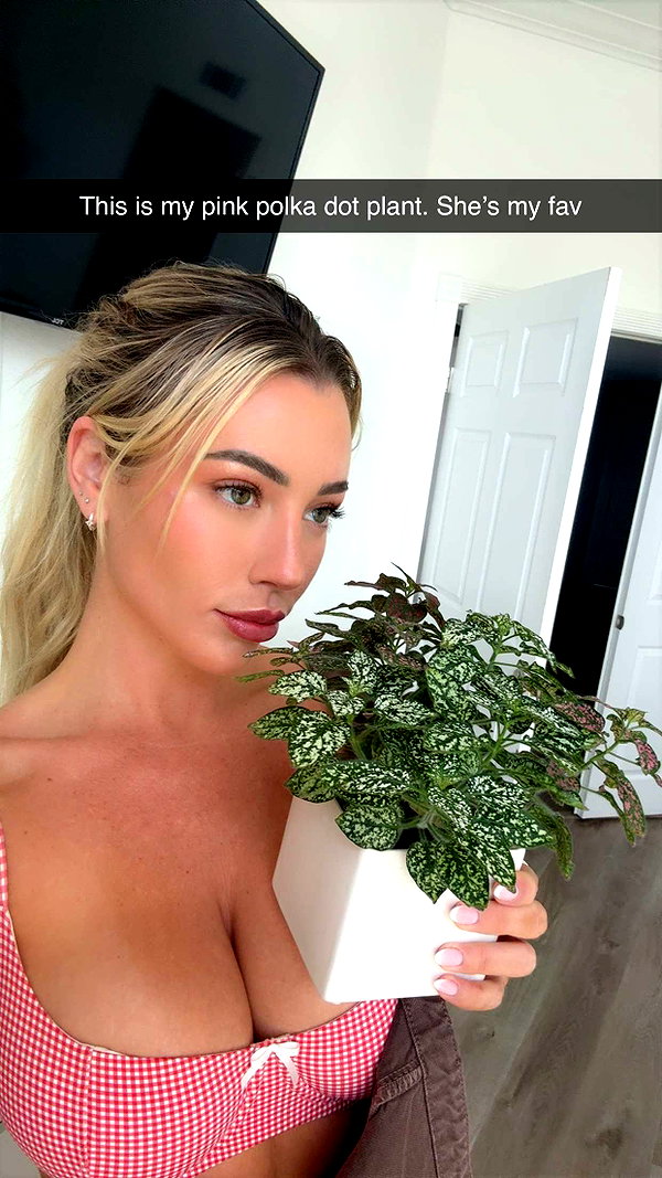 jadelynmusic snapchat image archive image