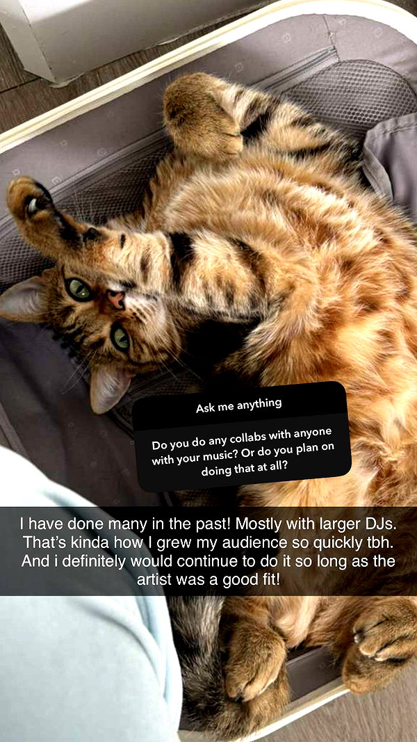 jadelynmusic snapchat image archive image