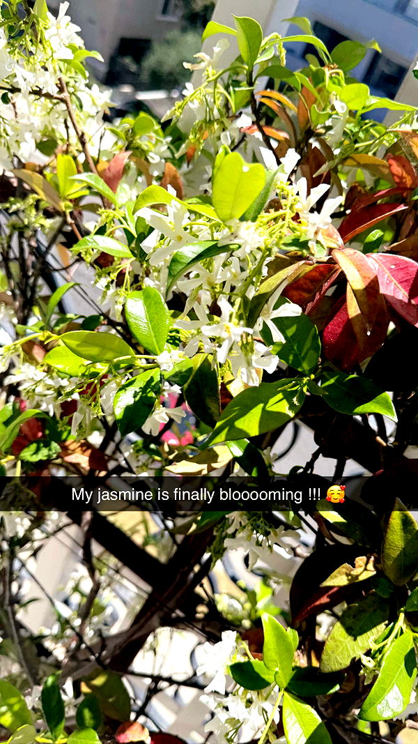 jadelynmusic snapchat image archive image