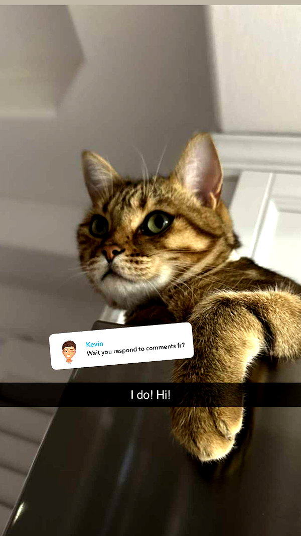 jadelynmusic snapchat image archive image
