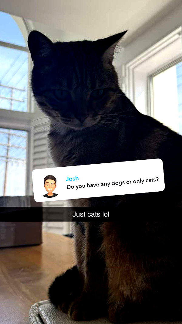 jadelynmusic snapchat image archive image