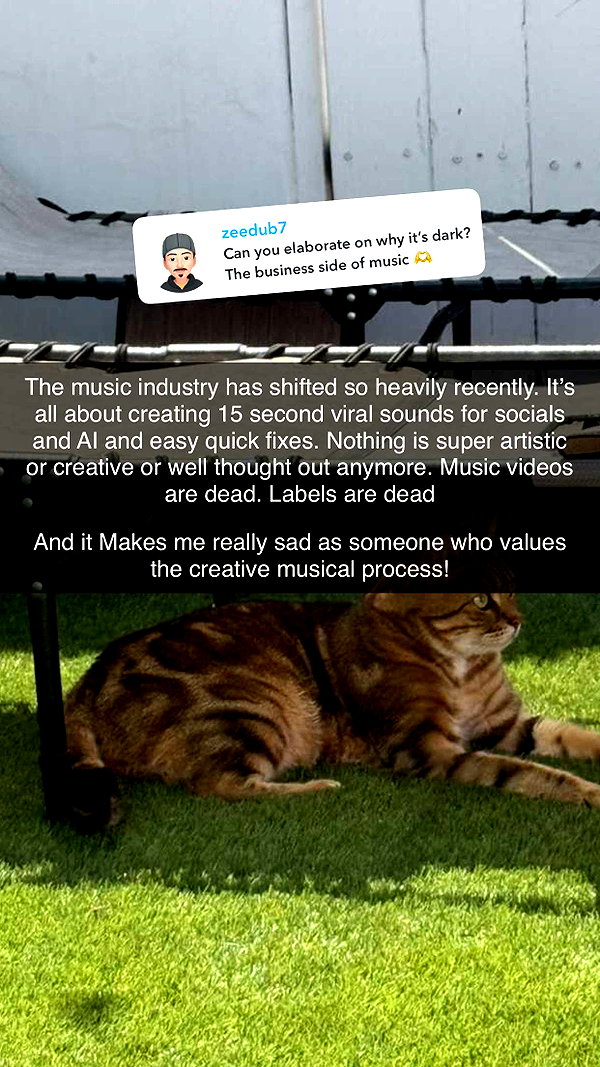 jadelynmusic snapchat image archive image