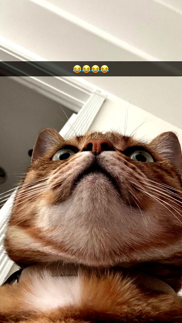 jadelynmusic image ~ Altpins