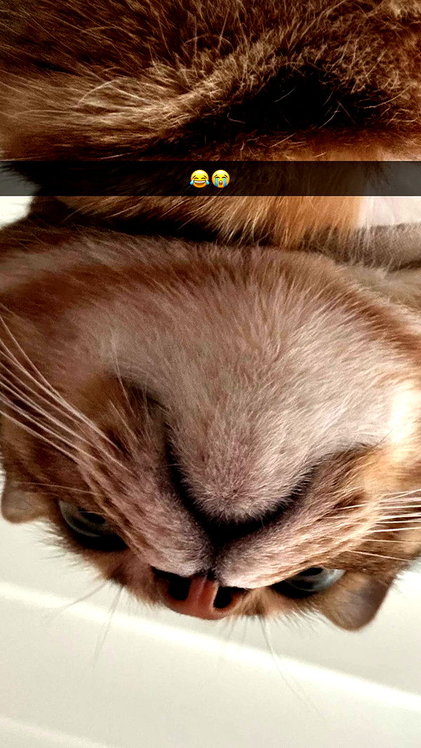 jadelynmusic image ~ Altpins