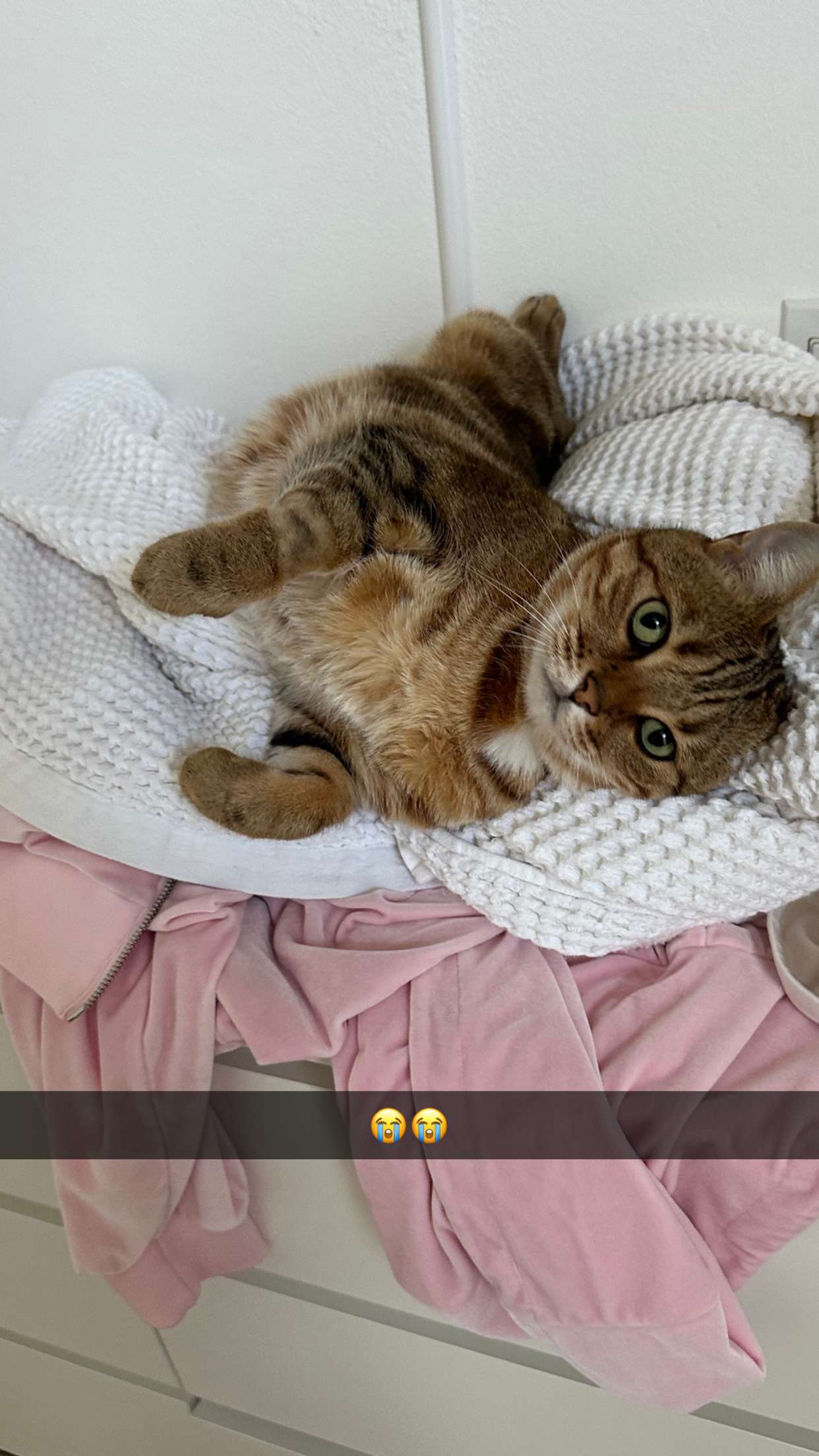 jadelynmusic snapchat image archive image