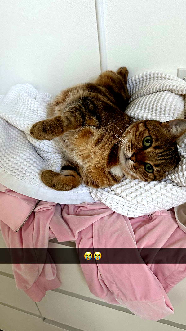 jadelynmusic image ~ Altpins