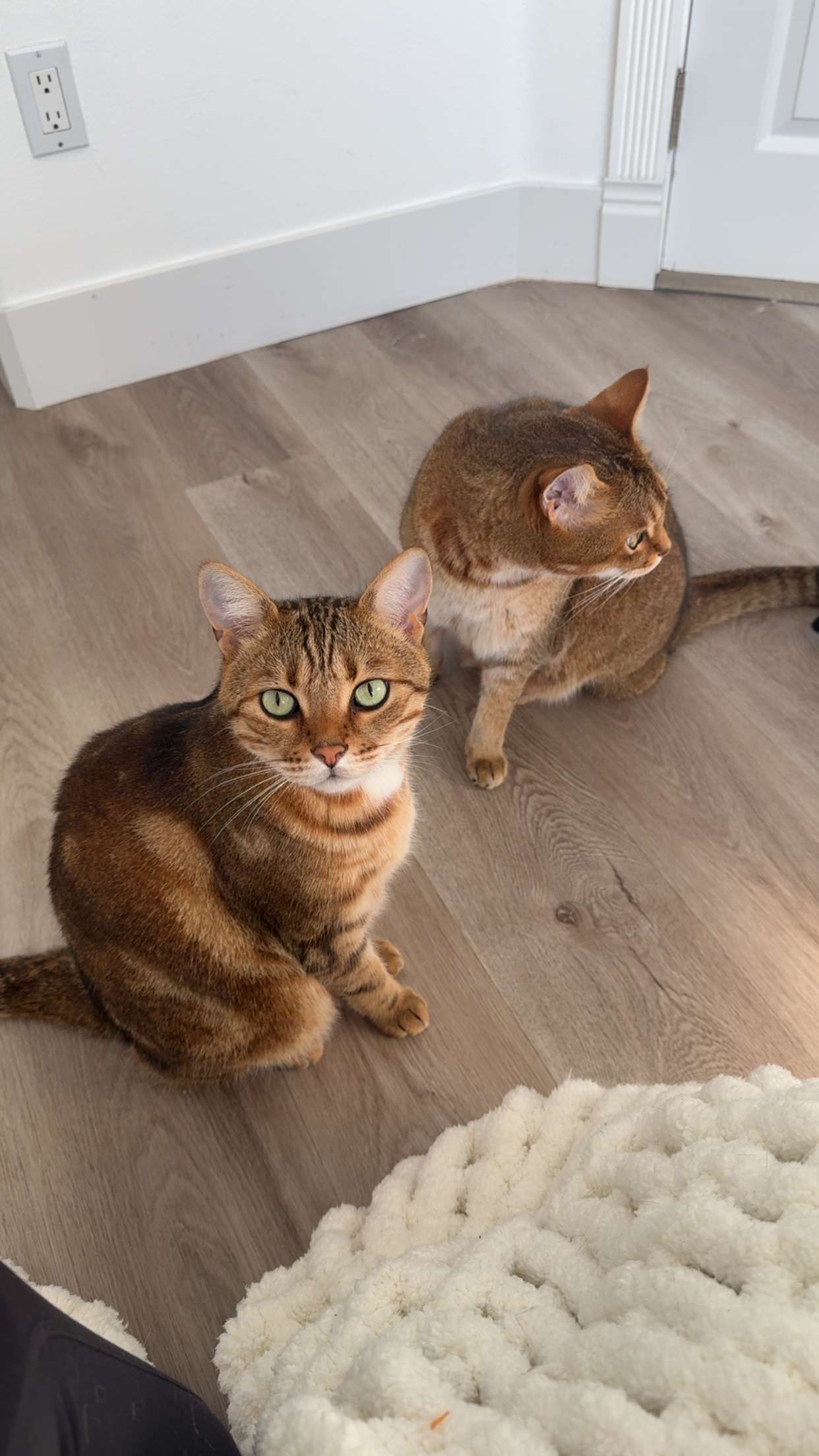 jadelynmusic snapchat image archive image