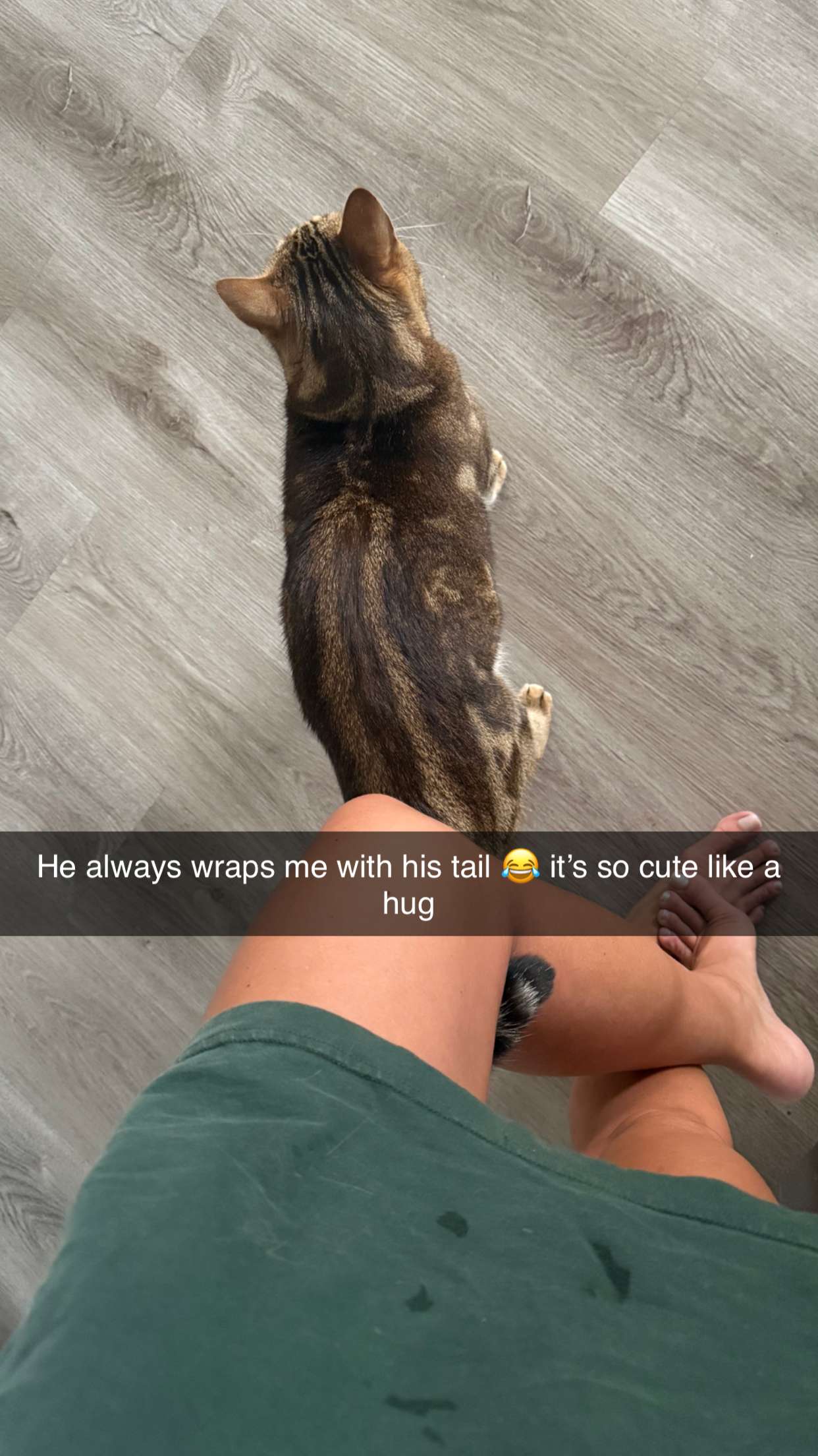 jadelynmusic snapchat image archive image