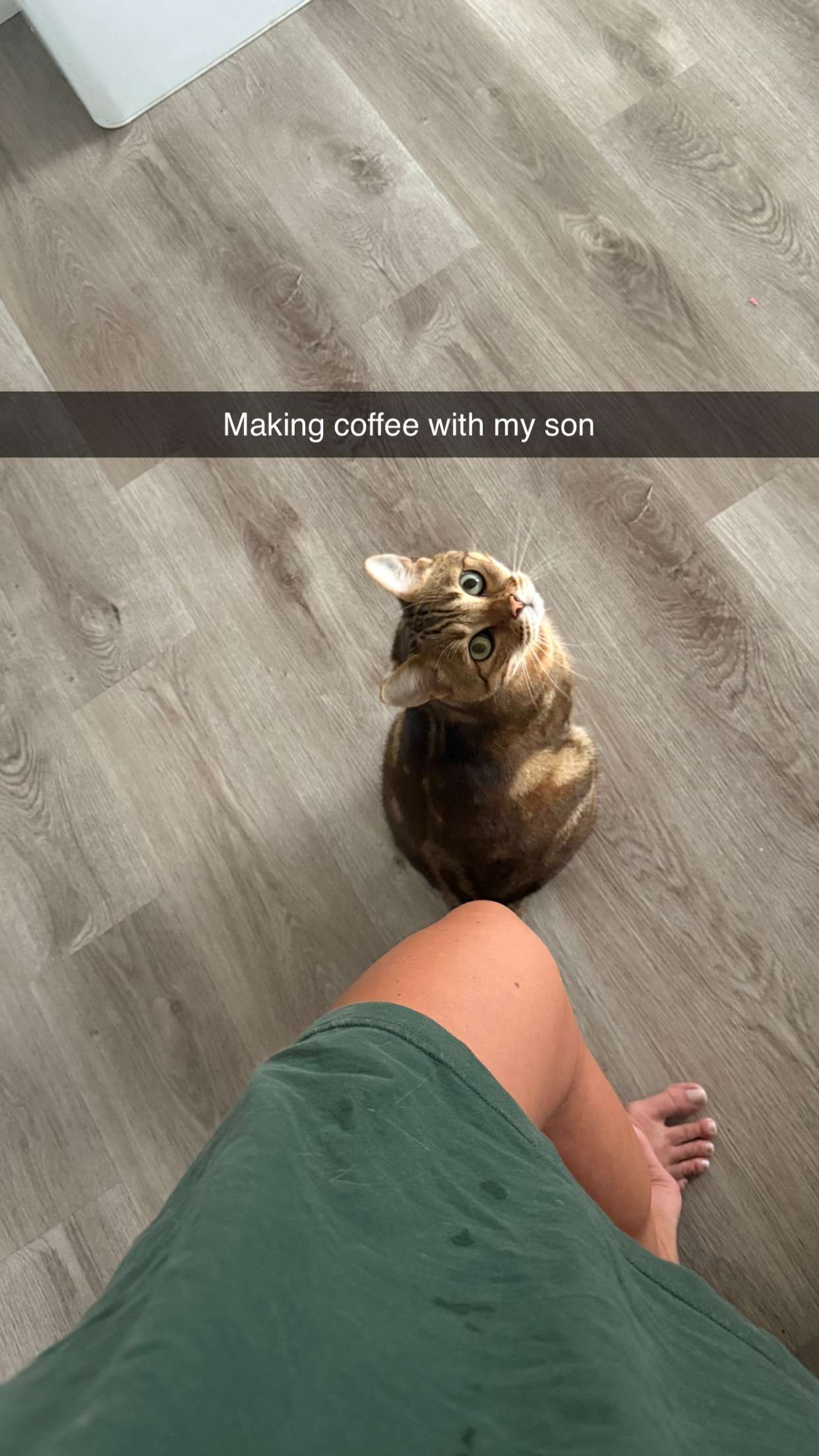 jadelynmusic snapchat image archive image