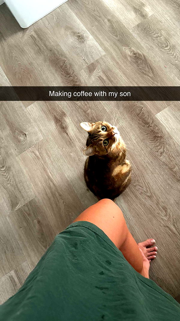 jadelynmusic image ~ Altpins